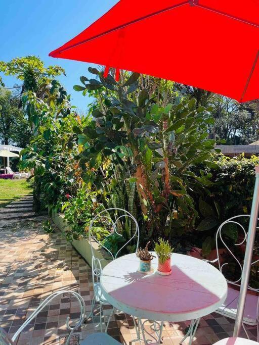 Apartment El Altillo, Loft Ambientes Abiertos 6 Pax En Cataratas Pileta Compartida *