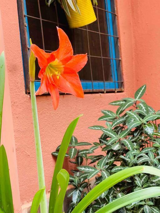 El Altillo, Loft Ambientes Abiertos 6 Pax En Cataratas Pileta Compartida * Puerto Iguazu