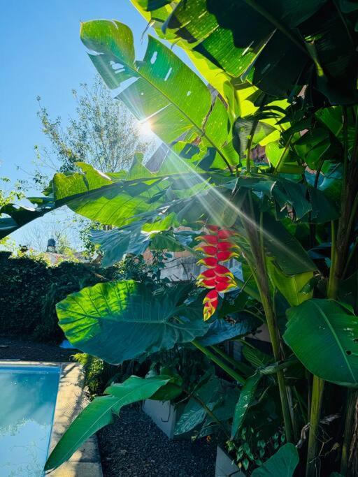 El Altillo, Loft Ambientes Abiertos 6 Pax En Cataratas Pileta Compartida Puerto Iguazu