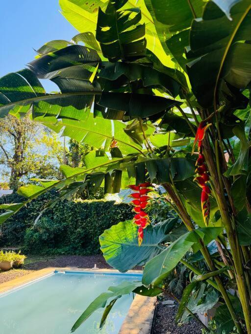 El Altillo, Loft Ambientes Abiertos 6 Pax En Cataratas Pileta Compartida