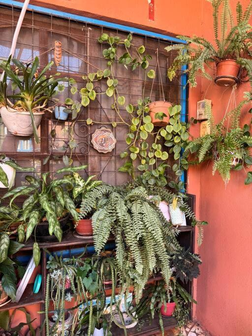 El Altillo, Loft Ambientes Abiertos 6 Pax En Cataratas Pileta Compartida Apartment