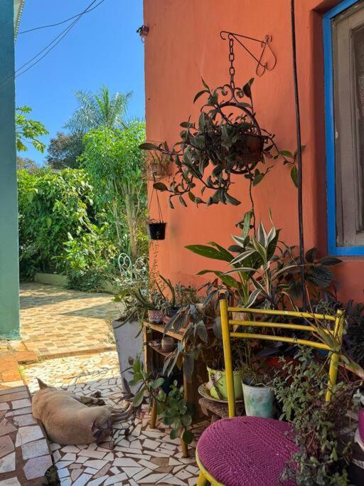 Apartment El Altillo, Loft Ambientes Abiertos 6 Pax En Cataratas Pileta Compartida