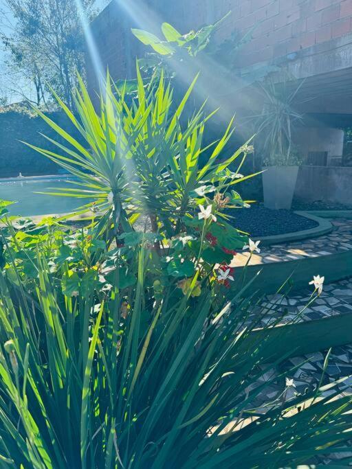 El Altillo, Loft Ambientes Abiertos 6 Pax En Cataratas Pileta Compartida Apartment