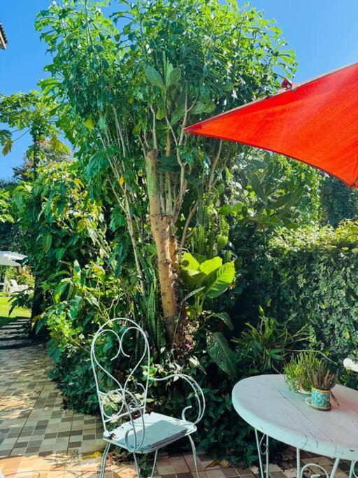 Apartment El Altillo, Loft Ambientes Abiertos 6 Pax En Cataratas Pileta Compartida *