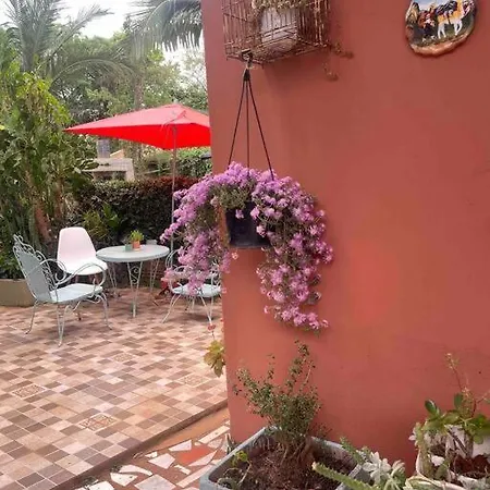 Apart El Altillo, Loft Ambientes Abiertos 6 Pax En Cataratas Pileta Compartida Puerto Iguazu Exterior photo