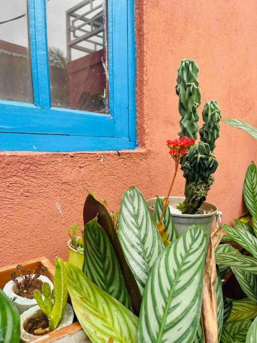 El Altillo, Loft Ambientes Abiertos 6 Pax En Cataratas Pileta Compartida *